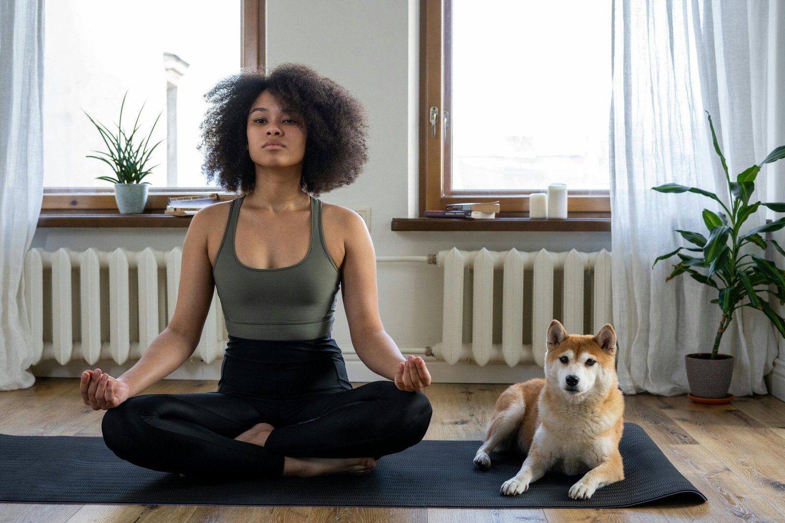 Health and Wellness: A Comprehensive Path to a Fulfilling Life